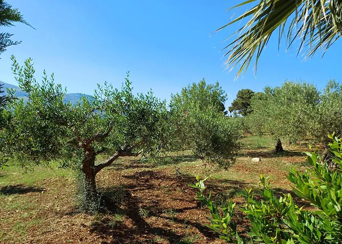 Villa Donna Franca Con Piscina Privata